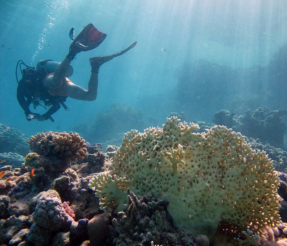Marsa Alam tours